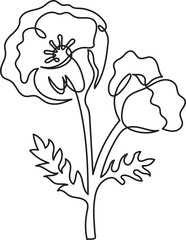 poppy flower floral minimal outline art