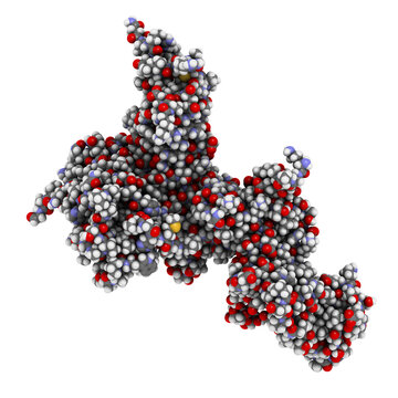Interleukin 23 (IL-23) protein molecule. Target of ustekinumab, a monoclonal antibody used in treatment of psoriasis.