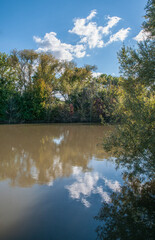 selzweiher bei alzey-schafhausen