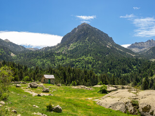 Fototapeta premium Nature in Aiguestortes National Park in Pyrenees, Catalonia, Spain