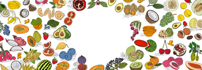 Hand drawn Fruit. Suitable for websites, Social media and layouts, Stickers, Banners, Art and collages, General use cases. png.