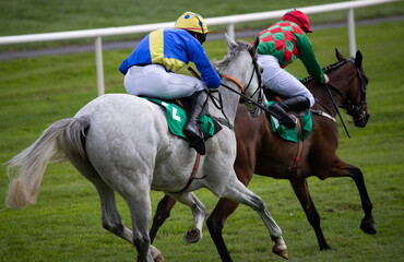 Two Race horses and jockeys competing for position on the race track.