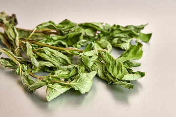 Mint sprigs are dried on paper until completely dry. Drying and storage of plants.