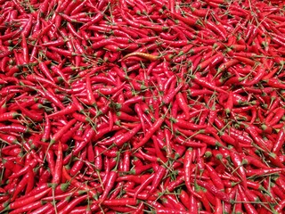 Fototapeta premium red hot chili peppers