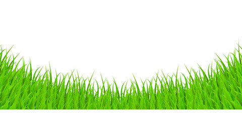 Obraz premium Green Grass Elements on Transparent Background. Illustration