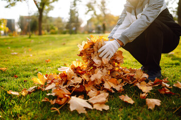 Man cleans the autumn park from yellow leaves. Volunteering, cleaning, and ecology concept. Seasonal gardening.