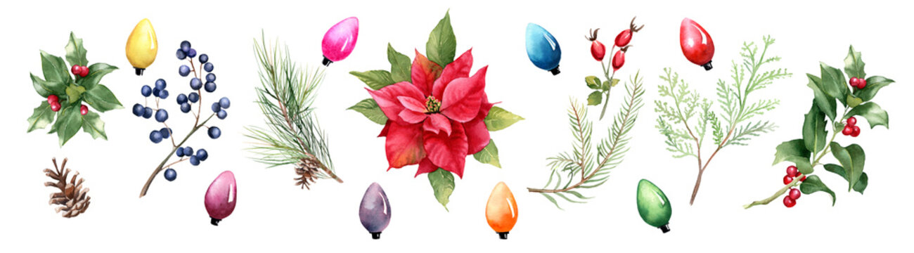 Christmas watercolor decoration elements. Poinsettia flowers, christmas lights, holly berry, coniferous branches, rosehip, coin