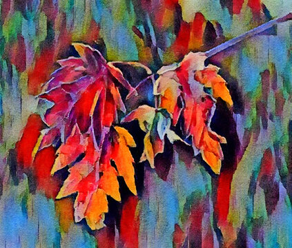 Colorful autumn maples leaves are seen in a close up image that is a digital watercolor.