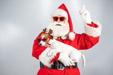 Portrait of santa claus in sunglasses and dog jack russell terrier in rudolf reindeer ears on a white background. 