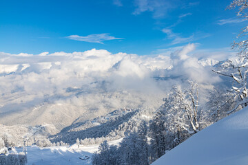 Naklejka premium Beautiful winter landscape with snow covered trees and mountains peaks. Caucasus mountain view from Roza Khutor