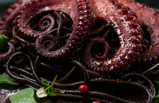 Octopus With Black Spaghetti, Pasta, Spices And Herbs, Top View, No People,