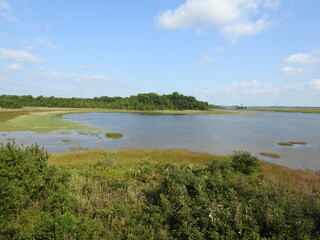The beautiful wetland scenery of Raymond Pool located within the Bombay Hook National Wildlife Refuge, Kent County, Smyrna, Delaware.