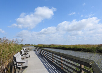 Visitors can sit along the boardwalk trail, and enjoy the natural beauty of the Bombay Hook National Wildlife Refuge, in Kent County, Smyrna, Delaware. - obrazy, fototapety, plakaty