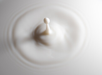 Closeup of drop of milk falling into milk bath