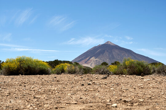 Teide Volcano arising over gravel plain