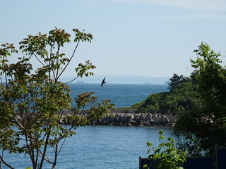 Nice summer view from Varna in Bulgaria
