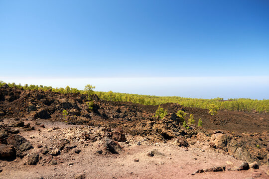 Lava rocks with fir wood and clouds over the Atlantic