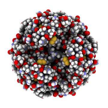 Insulin peptide hormone, chemical structure. Used in treatment of diabetes. Shown in het hexameric form, bound to zinc ions. Atoms are represented as spheres with conventional color coding.