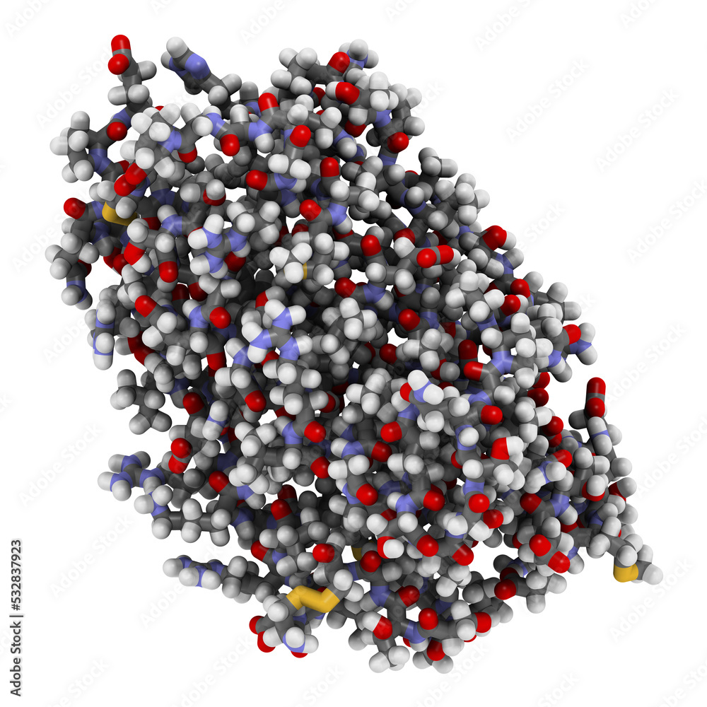 Sticker Thrombopoietin (THPO) hormone. Regulates production of blood platelets.