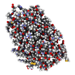 Thrombopoietin (THPO) hormone. Regulates production of blood platelets.