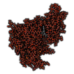 Janus kinase 1 protein. Part of JAK-STAT signalling pathway and drug target. © molekuul.be