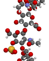 Chondroitin sulphate (short fragment). Important component of cartilage. Used as dietary supplement in treatment of osteoarthritis.