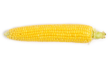 One ears ripe corn white background.