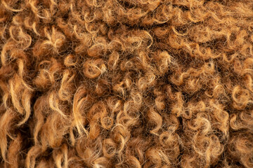 Brown sheep wool as a background, natural wool, live sheep