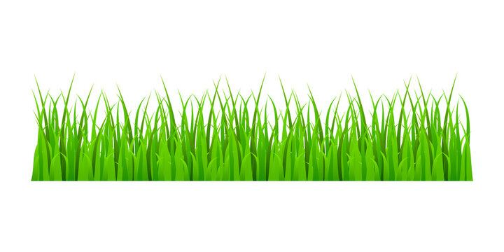 Green grass meadow border  pattern. Grass background  Illustration