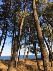 Nice summer view from Varna in Bulgaria 
