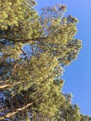 Nice summer view from Varna in Bulgaria 