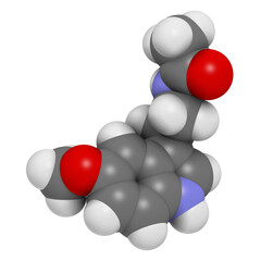 Melatonin hormone molecule. In humans, it plays a role in circadian rhythm synchronization