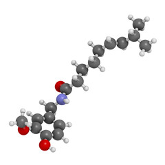 Capsaicin chili pepper molecule. Used in food, drugs, pepper spray, etc.  Atoms are represented as spheres with conventional color coding