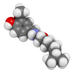 Capsaicin chili pepper molecule. Used in food, drugs, pepper spray, etc.  Atoms are represented as spheres with conventional color coding