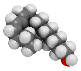 Bombykol insect pheromone molecule