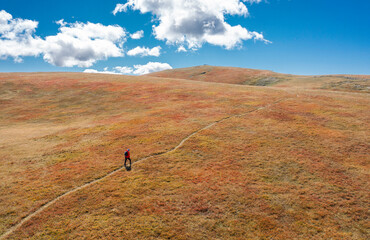 Unrecognizable hiker on a trail in the dry blueberry meadow with white clouds and blue sky - going to the top - wallpaper