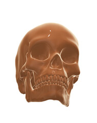 human skull