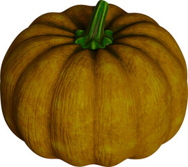 Orange pumpkin for halloween or thanksgiving.