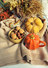 Autumn background. Pumpkin shape cup, nuts, pumpkin, dry grass and knitted sweater close up on windowsill. symbol of fall season. home cozy composition for Halloween, Thanksgiving holiday. top view