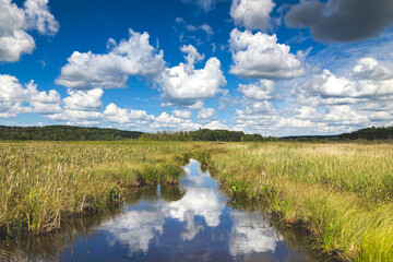 Clouds and Water over the Marsh at William O'Brien State Park - 532843978