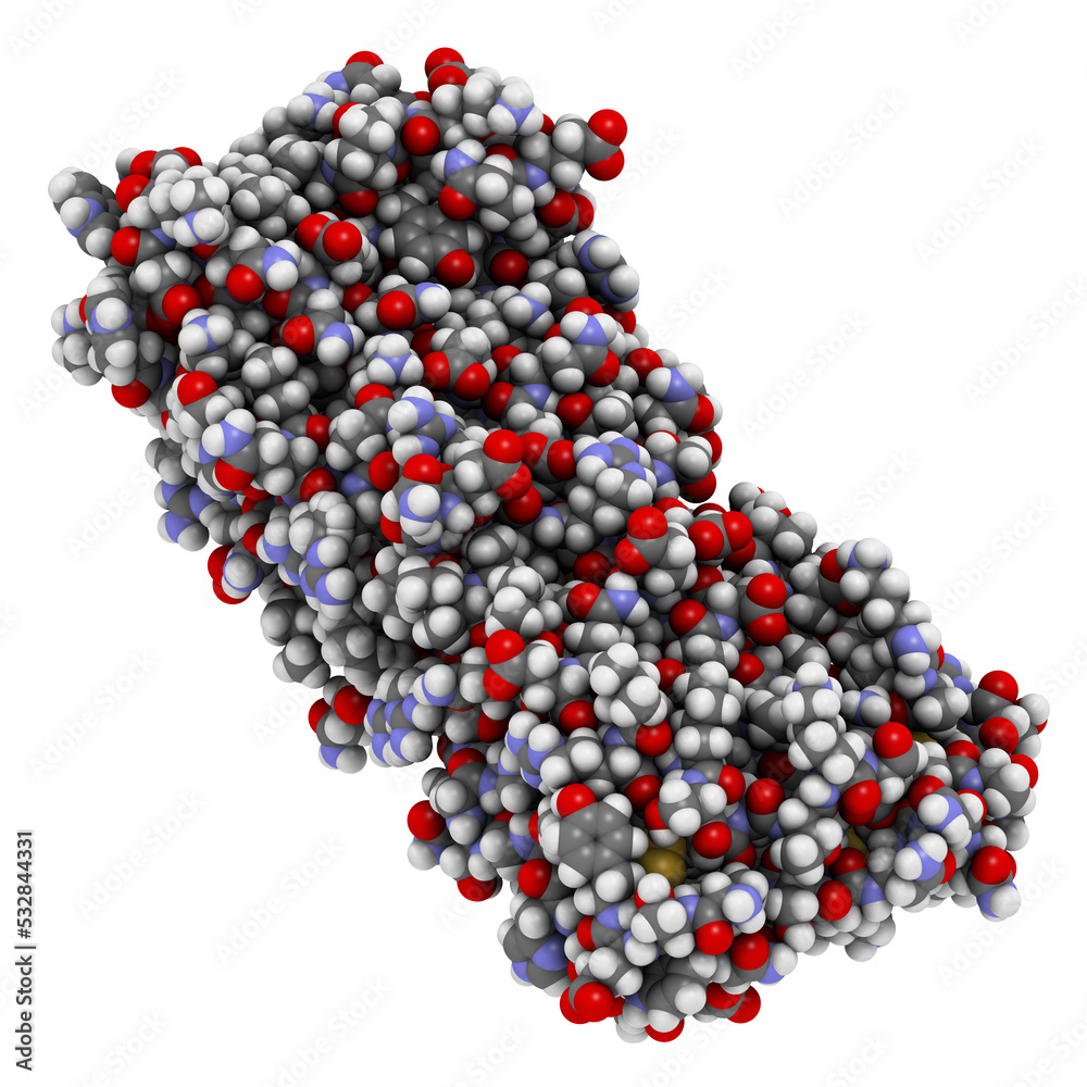 Canvas Prints colony stimulating factor 1 (csf-1, m-csf). also known as macrophage colony stimulating factor.