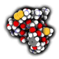 Ziconotide pain drug molecule. Synthetic form of omega conotoxin from cone snail.