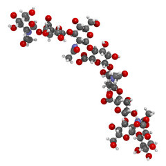 Hyaluronan (hyaluronic acid, hyaluronate) glycosaminoglycan molecule, short fragment. Part of extracellular matrix.