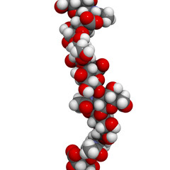 Hyaluronan (hyaluronic acid, hyaluronate) glycosaminoglycan molecule, short fragment. Part of extracellular matrix.