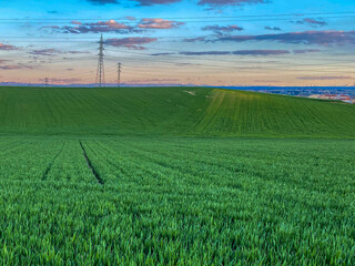 Fototapeta na wymiar campos de cereales en primavera 2022 castilla