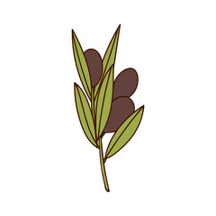 Olive branch with berry and leaf colorful doodle illustration. Olive branch illustration in vector on white backgroun.