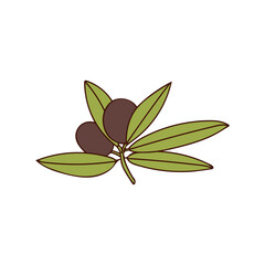 Olive branch with berry and leaf colorful doodle illustration. Olive branch illustration in vector on white backgroun.