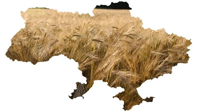 Conceptual image of Ukraine's map, global food crisis caused by Russia invasion