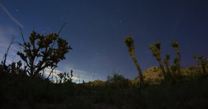 Mojave Desert Night Sky Panorama Moonlight Stars 