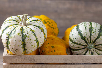 Pumpkin. Autumn food background with Pumpkins. Thanksgiving Day.